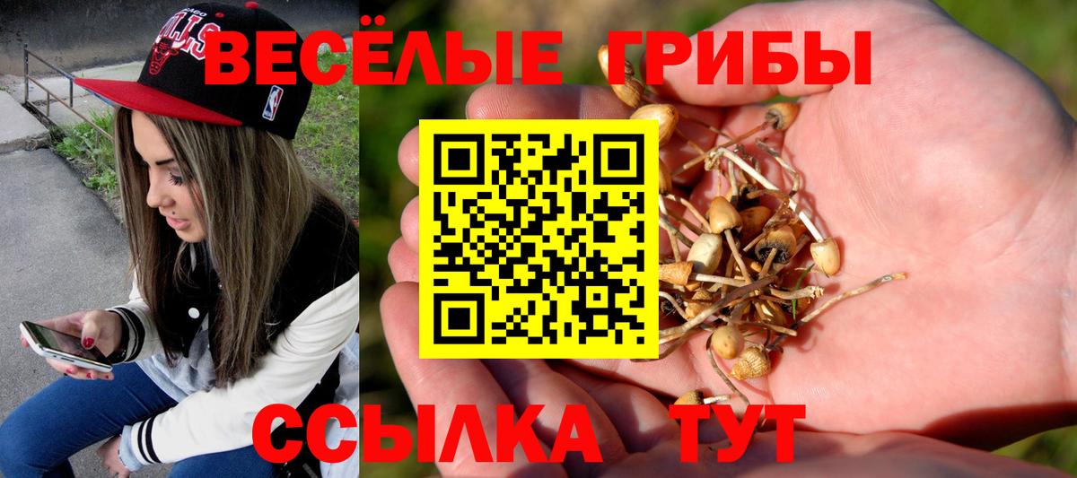 Псилоцибиновые грибы GOLDEN TEACHER Дзержинский