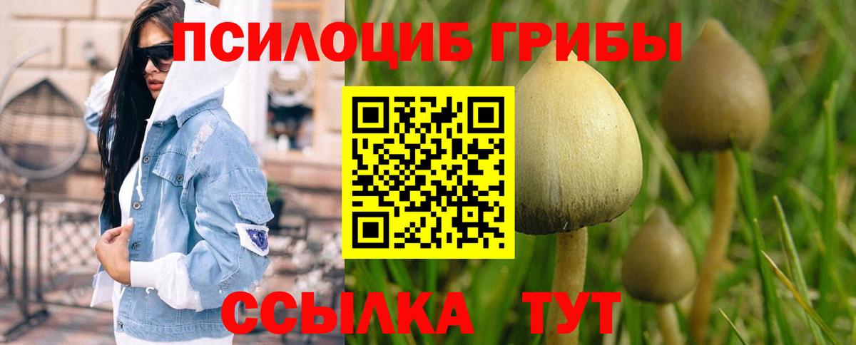 Дзержинский  Галлюциногенные грибы ЛСД  Вход с VPN 